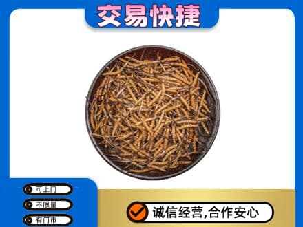 韶关礼品回收虫草.jpg